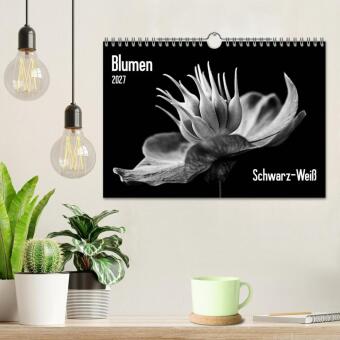 Blumen 2027, Schwarz-Weiß (Wandkalender 2027 DIN A4 quer), CALVENDO Monatskalender