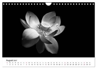 Blumen 2027, Schwarz-Weiß (Wandkalender 2027 DIN A4 quer), CALVENDO Monatskalender