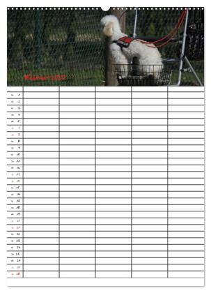 Der Pudel-Familienplaner (hochwertiger Premium Wandkalender 2027 DIN A2 hoch), Kunstdruck in Hochglanz