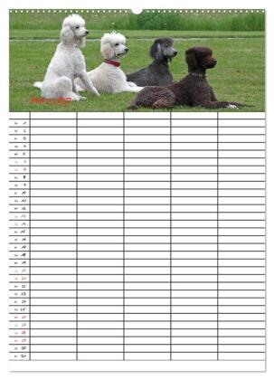 Der Pudel-Familienplaner (hochwertiger Premium Wandkalender 2027 DIN A2 hoch), Kunstdruck in Hochglanz