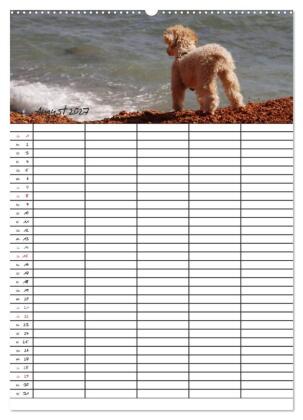 Der Pudel-Familienplaner (hochwertiger Premium Wandkalender 2027 DIN A2 hoch), Kunstdruck in Hochglanz