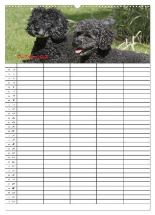 Der Pudel-Familienplaner (hochwertiger Premium Wandkalender 2027 DIN A2 hoch), Kunstdruck in Hochglanz