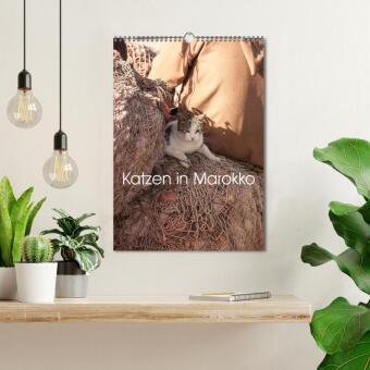 Katzen in Marokko (Wandkalender 2027 DIN A3 hoch), CALVENDO Monatskalender