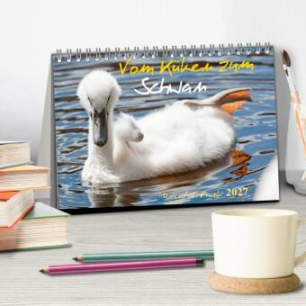 Vom Küken zum Schwan (Tischkalender 2027 DIN A5 quer), CALVENDO Monatskalender