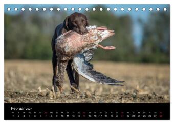 Jagdhunde bei der Arbeit (Tischkalender 2027 DIN A5 quer), CALVENDO Monatskalender