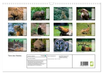 Tiere des Waldes (Wandkalender 2027 DIN A3 quer), CALVENDO Monatskalender