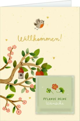 Grußkarten-Set - Willkommen! / Auf ins Lebensabenteuer!
