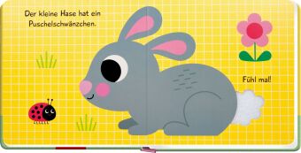 Mein Fühlbuch: Kleiner Hase