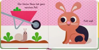 Mein Fühlbuch: Kleiner Hase