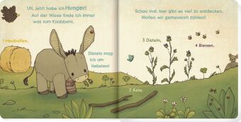 Kleiner Esel, erzähl mir von dir