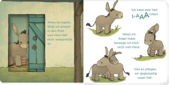 Kleiner Esel, erzähl mir von dir