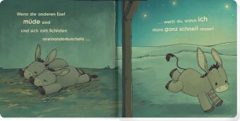 Kleiner Esel, erzähl mir von dir