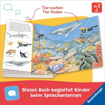 Sachen suchen: Am Meer