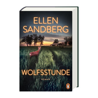 Wolfsstunde