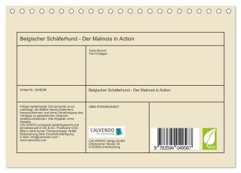 Belgischer Schäferhund - Der Malinois in Action (Tischkalender 2027 DIN A5 quer), CALVENDO Monatskalender