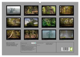 Märchenhafter Reinhardswald und Urwald Sababurg (hochwertiger Premium Wandkalender 2027 DIN A2 quer), Kunstdruck in Hochglanz