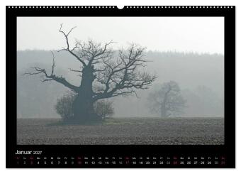 Märchenhafter Reinhardswald und Urwald Sababurg (hochwertiger Premium Wandkalender 2027 DIN A2 quer), Kunstdruck in Hochglanz