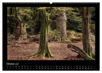 Märchenhafter Reinhardswald und Urwald Sababurg (hochwertiger Premium Wandkalender 2027 DIN A2 quer), Kunstdruck in Hochglanz