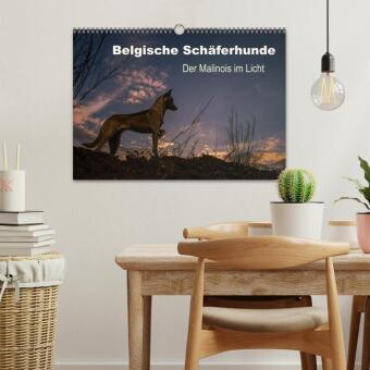 Belgische Schäferhunde - Der Malinois im Licht (Wandkalender 2027 DIN A3 quer), CALVENDO Monatskalender