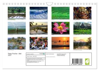 Peter Fischer - Bali 2027 (Wandkalender 2027 DIN A4 quer), CALVENDO Monatskalender
