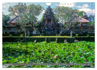 Peter Fischer - Bali 2027 (Wandkalender 2027 DIN A4 quer), CALVENDO Monatskalender