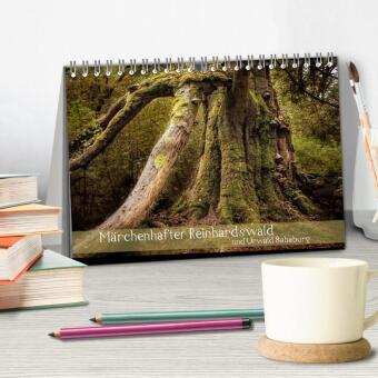 Märchenhafter Reinhardswald und Urwald Sababurg (Tischkalender 2027 DIN A5 quer), CALVENDO Monatskalender