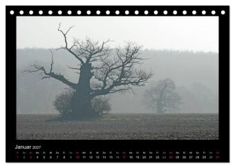 Märchenhafter Reinhardswald und Urwald Sababurg (Tischkalender 2027 DIN A5 quer), CALVENDO Monatskalender