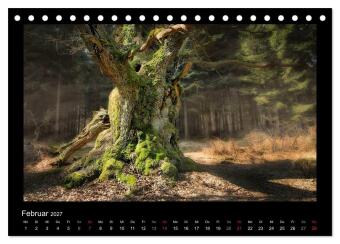 Märchenhafter Reinhardswald und Urwald Sababurg (Tischkalender 2027 DIN A5 quer), CALVENDO Monatskalender