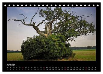 Märchenhafter Reinhardswald und Urwald Sababurg (Tischkalender 2027 DIN A5 quer), CALVENDO Monatskalender