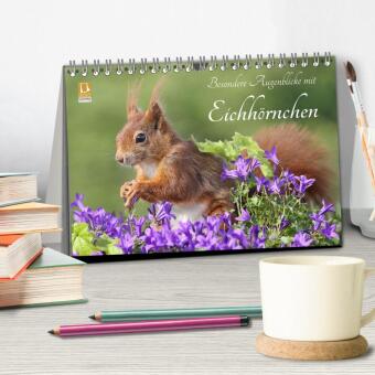 Besondere Augenblicke mit Eichhörnchen (Tischkalender 2027 DIN A5 quer), CALVENDO Monatskalender