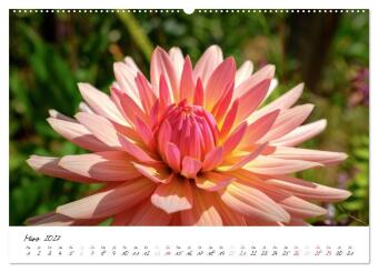 Madeira - ewiger Frühling (Wandkalender 2027 DIN A2 quer), CALVENDO Monatskalender