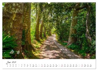 Madeira - ewiger Frühling (hochwertiger Premium Wandkalender 2027 DIN A2 quer), Kunstdruck in Hochglanz