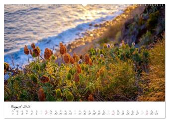 Madeira - ewiger Frühling (hochwertiger Premium Wandkalender 2027 DIN A2 quer), Kunstdruck in Hochglanz