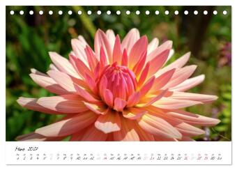 Madeira - ewiger Frühling (Tischkalender 2027 DIN A5 quer), CALVENDO Monatskalender