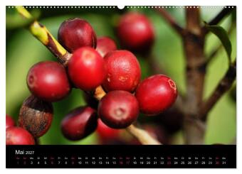Zu Besuch beim Kaffee (Wandkalender 2027 DIN A2 quer), CALVENDO Monatskalender