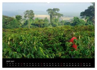 Zu Besuch beim Kaffee (Wandkalender 2027 DIN A2 quer), CALVENDO Monatskalender