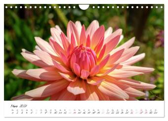 Madeira - ewiger Frühling (Wandkalender 2027 DIN A4 quer), CALVENDO Monatskalender
