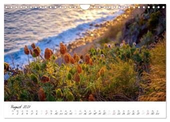 Madeira - ewiger Frühling (Wandkalender 2027 DIN A4 quer), CALVENDO Monatskalender