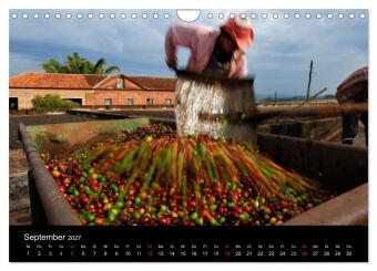 Zu Besuch beim Kaffee (Wandkalender 2027 DIN A4 quer), CALVENDO Monatskalender