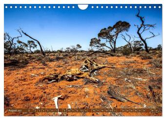 Outback Life - Australien (Wandkalender 2027 DIN A4 quer), CALVENDO Monatskalender