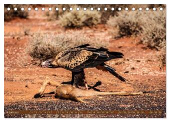 Outback Life - Australien (Tischkalender 2027 DIN A5 quer), CALVENDO Monatskalender