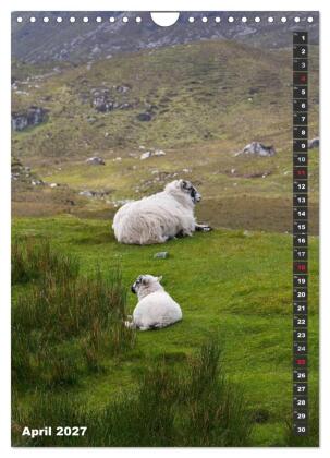 Schottlands vielfältiger Westen (Wandkalender 2027 DIN A4 hoch), CALVENDO Monatskalender