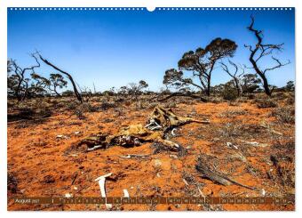 Outback Life - Australien (hochwertiger Premium Wandkalender 2027 DIN A2 quer), Kunstdruck in Hochglanz
