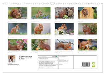 Eichhörnchen Kinder (Wandkalender 2027 DIN A3 quer), CALVENDO Monatskalender