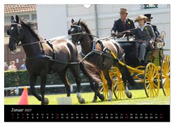 CIAT - Historischer Fahrsport in Celle (Wandkalender 2027 DIN A3 quer), CALVENDO Monatskalender