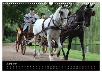 CIAT - Historischer Fahrsport in Celle (Wandkalender 2027 DIN A3 quer), CALVENDO Monatskalender