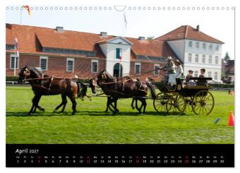 CIAT - Historischer Fahrsport in Celle (Wandkalender 2027 DIN A3 quer), CALVENDO Monatskalender