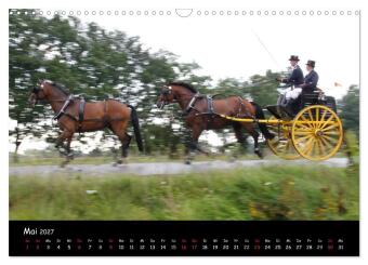 CIAT - Historischer Fahrsport in Celle (Wandkalender 2027 DIN A3 quer), CALVENDO Monatskalender