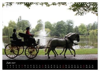 CIAT - Historischer Fahrsport in Celle (Wandkalender 2027 DIN A3 quer), CALVENDO Monatskalender