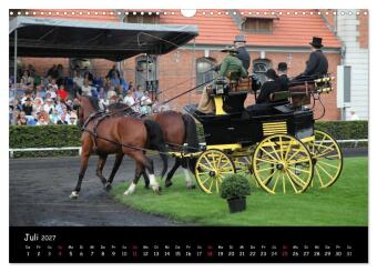 CIAT - Historischer Fahrsport in Celle (Wandkalender 2027 DIN A3 quer), CALVENDO Monatskalender